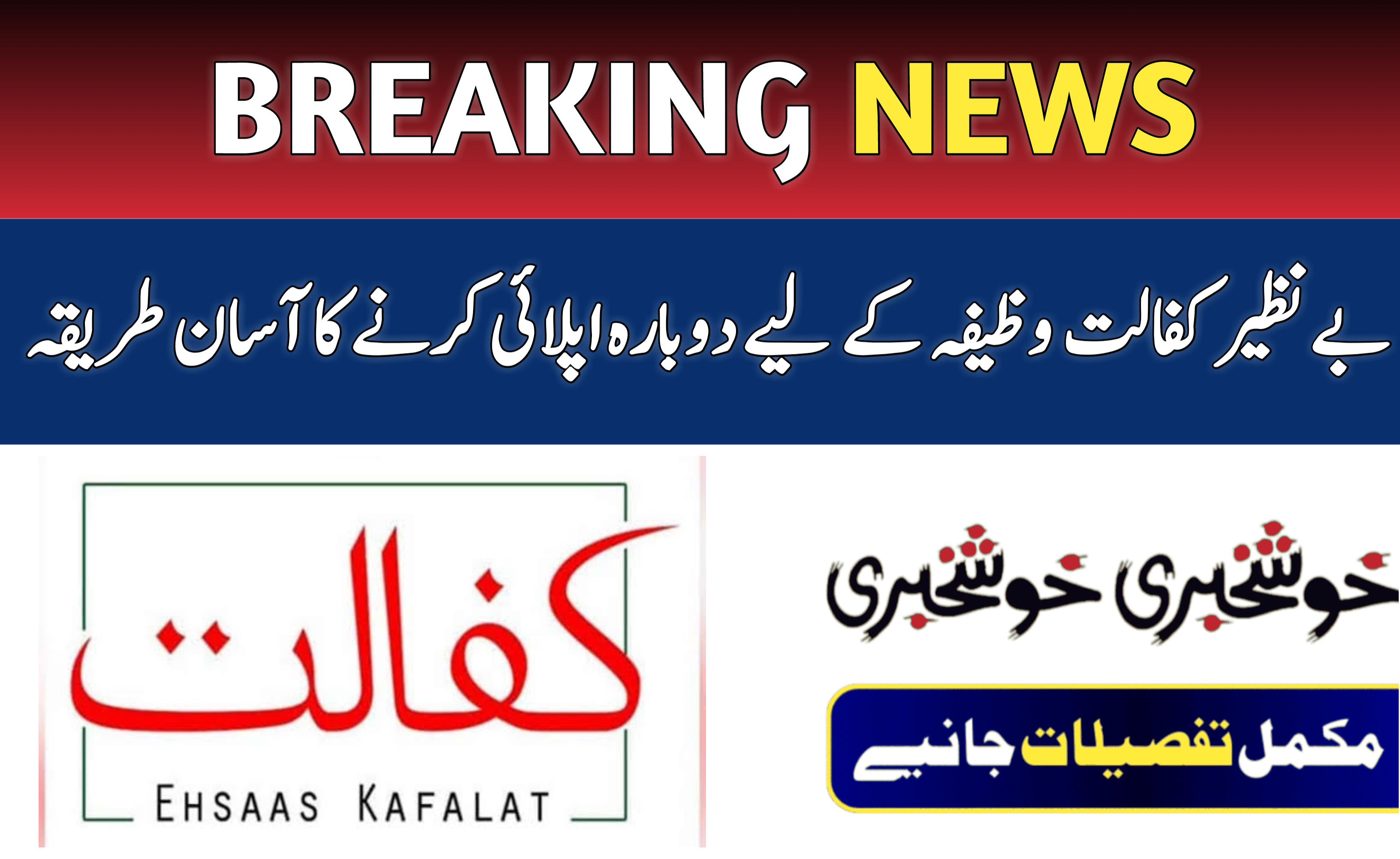 Reapply for Benazir Kafaalat Stipend